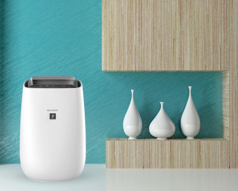Máy Lọc Không Khí Sharp Có Tốt Không ? Có Đáng Nên Mua Không ?